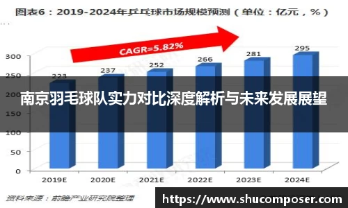 南京羽毛球队实力对比深度解析与未来发展展望