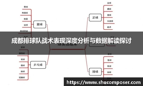 成都排球队战术表现深度分析与数据解读探讨