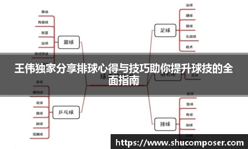 王伟独家分享排球心得与技巧助你提升球技的全面指南
