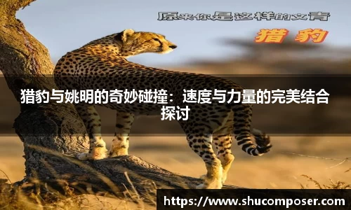 猎豹与姚明的奇妙碰撞：速度与力量的完美结合探讨
