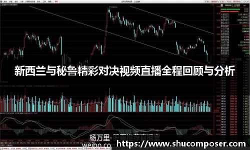 新西兰与秘鲁精彩对决视频直播全程回顾与分析