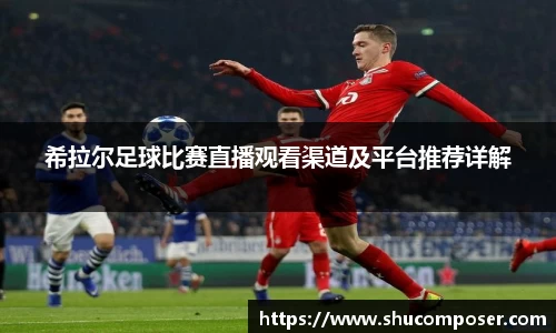 希拉尔足球比赛直播观看渠道及平台推荐详解