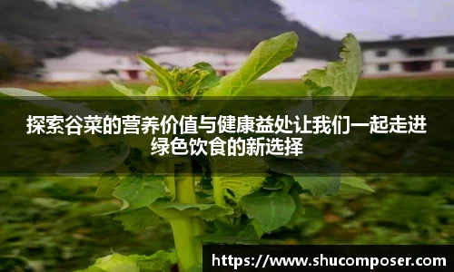 雷竞技RAYBET